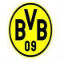 Veste Borussia Dortmund 2021